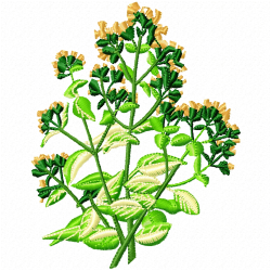 Plants Embroidery Design 10